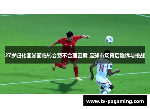 27岁归化国脚面临转会费不合理困境 足球市场背后隐忧与挑战