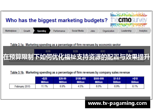 在预算限制下如何优化福祉支持资源的配置与效果提升