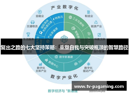 复出之路的七大坚持策略：重塑自我与突破瓶颈的智慧路径