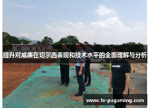 提升对威廉在切尔西表现和技术水平的全面理解与分析