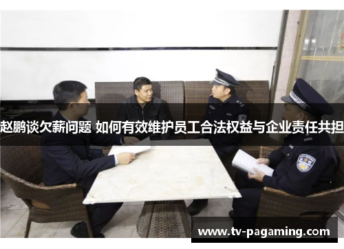 赵鹏谈欠薪问题 如何有效维护员工合法权益与企业责任共担