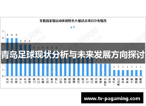 青岛足球现状分析与未来发展方向探讨
