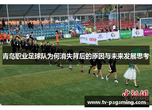 青岛职业足球队为何消失背后的原因与未来发展思考