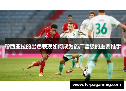 穆西亚拉的出色表现如何成为药厂晋级的重要推手