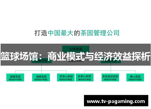 篮球场馆：商业模式与经济效益探析