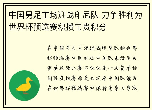中国男足主场迎战印尼队 力争胜利为世界杯预选赛积攒宝贵积分