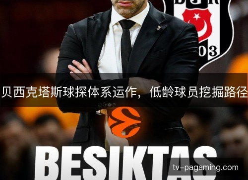 贝西克塔斯球探体系运作，低龄球员挖掘路径